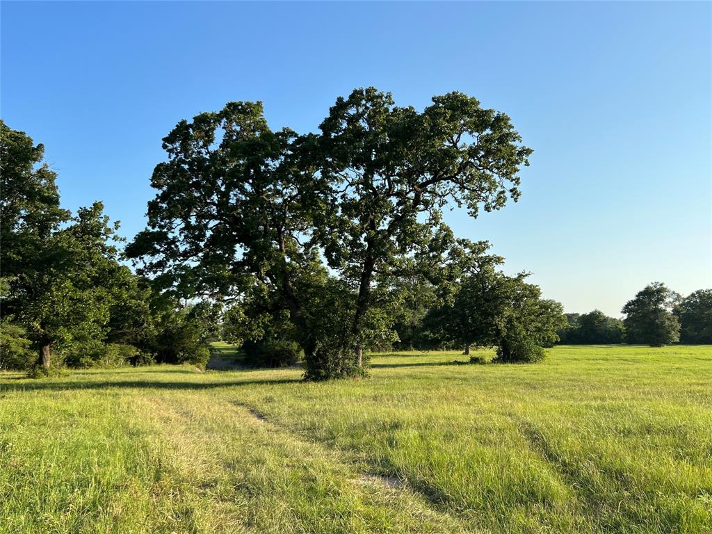 19585 Fm 2620, Bedias, Texas image 19