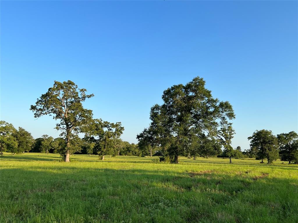 19585 Fm 2620, Bedias, Texas image 44