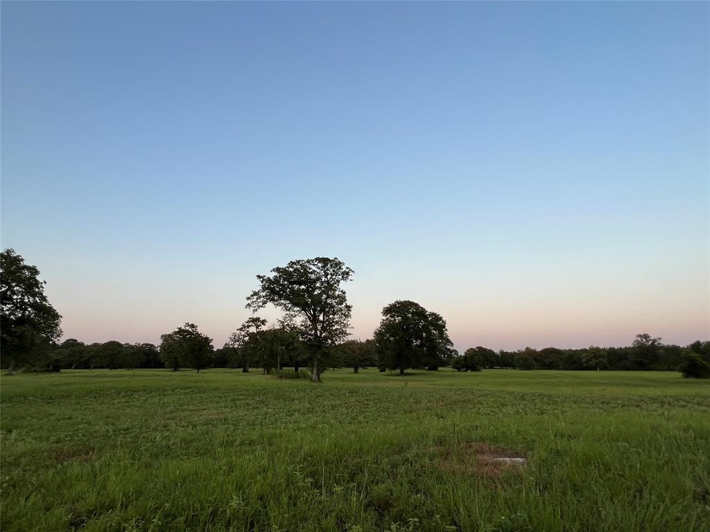 19585 Fm 2620, Bedias, Texas image 48