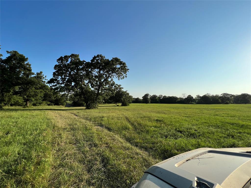 19585 Fm 2620, Bedias, Texas image 34