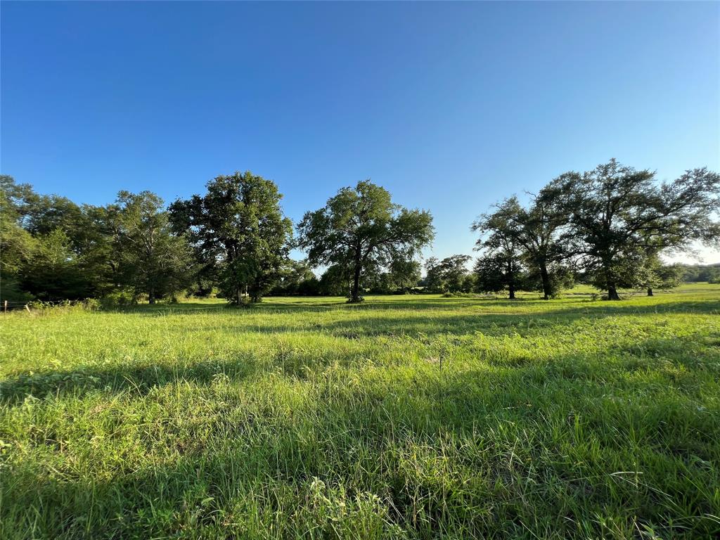 19585 Fm 2620, Bedias, Texas image 1