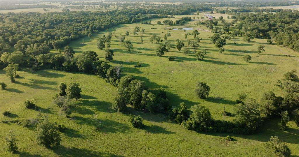 19585 Fm 2620, Bedias, Texas image 4