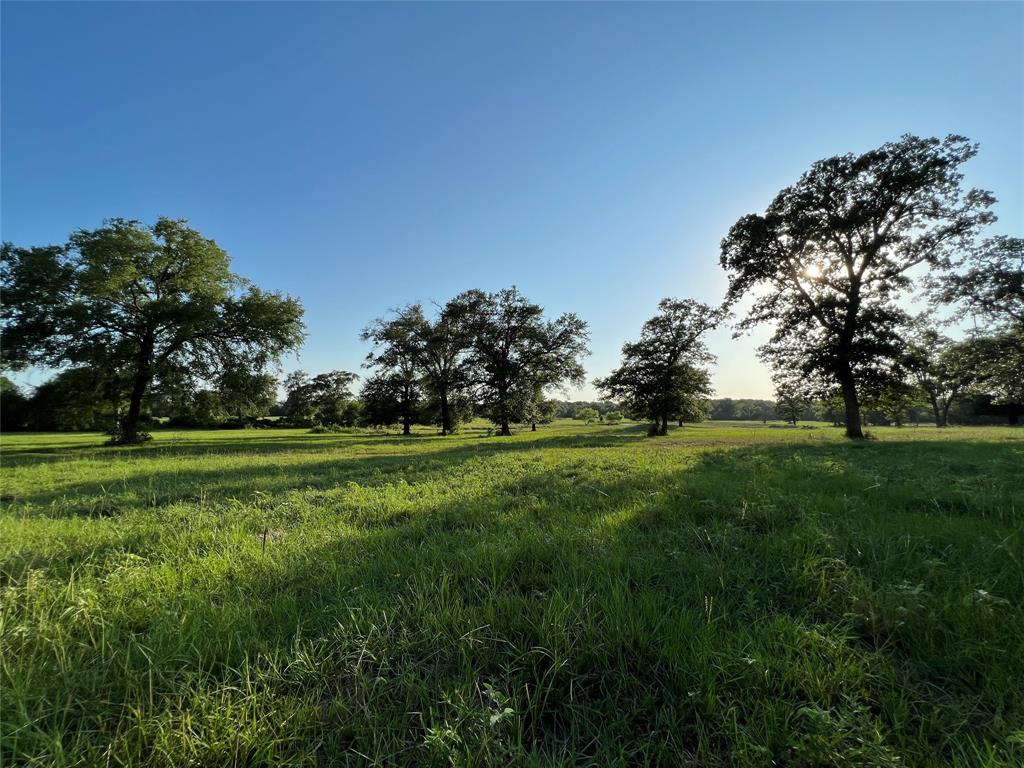 19585 Fm 2620, Bedias, Texas image 5