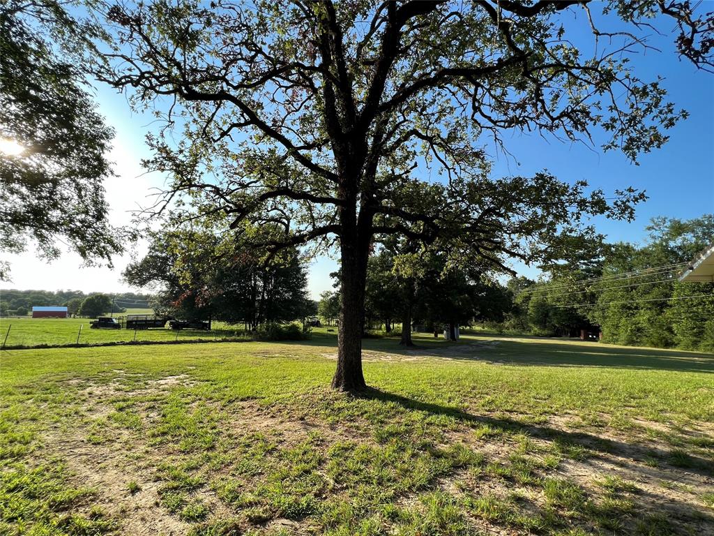 19585 Fm 2620, Bedias, Texas image 32