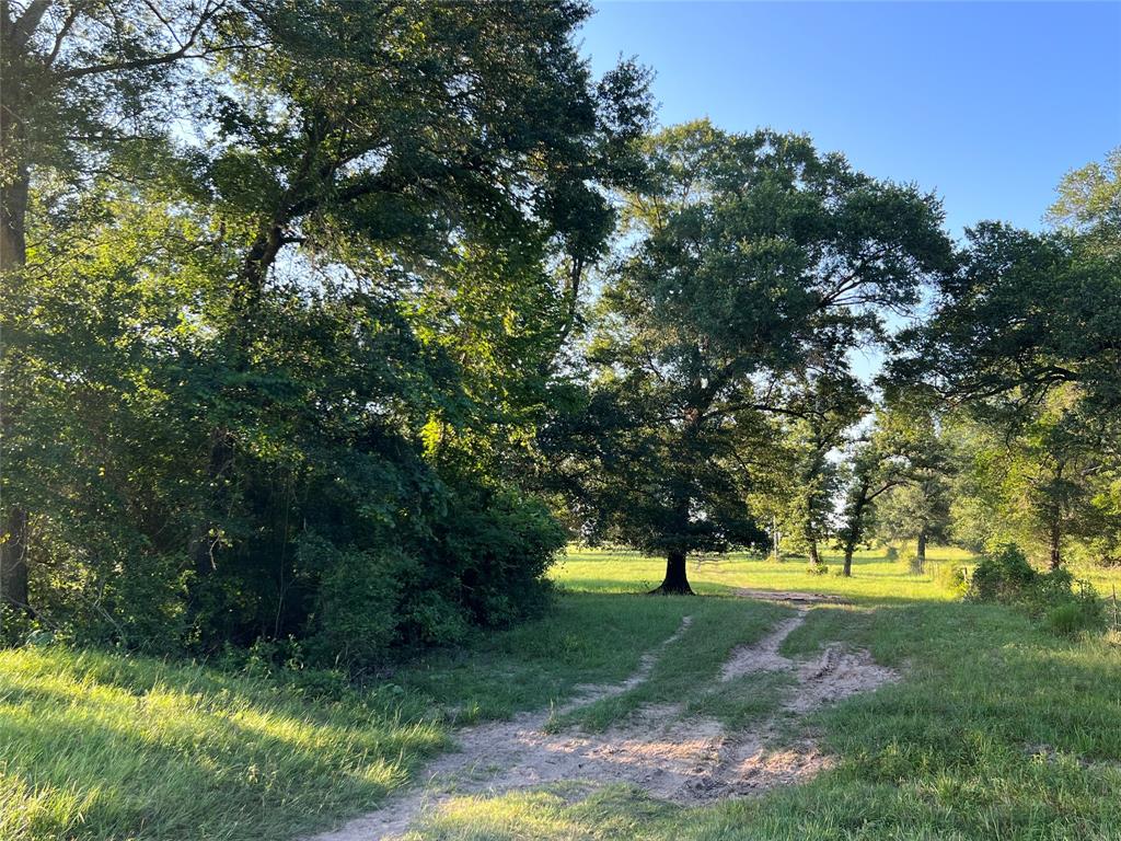 19585 Fm 2620, Bedias, Texas image 38