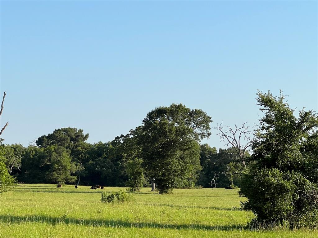 19585 Fm 2620, Bedias, Texas image 40