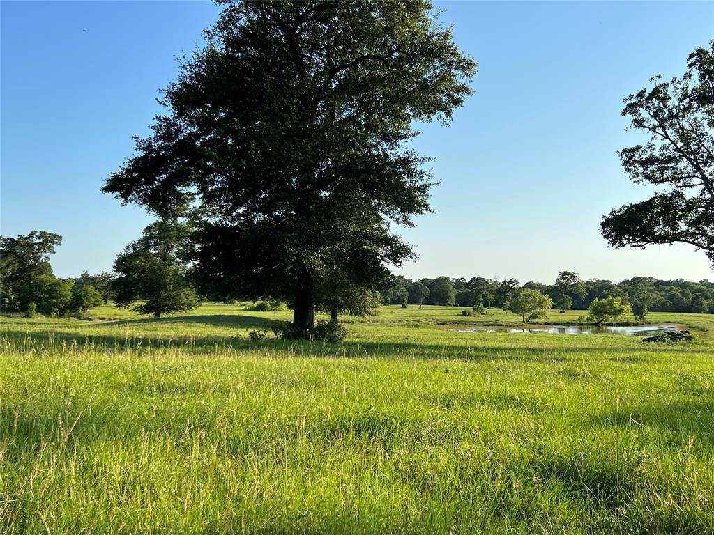 19585 Fm 2620, Bedias, Texas image 37