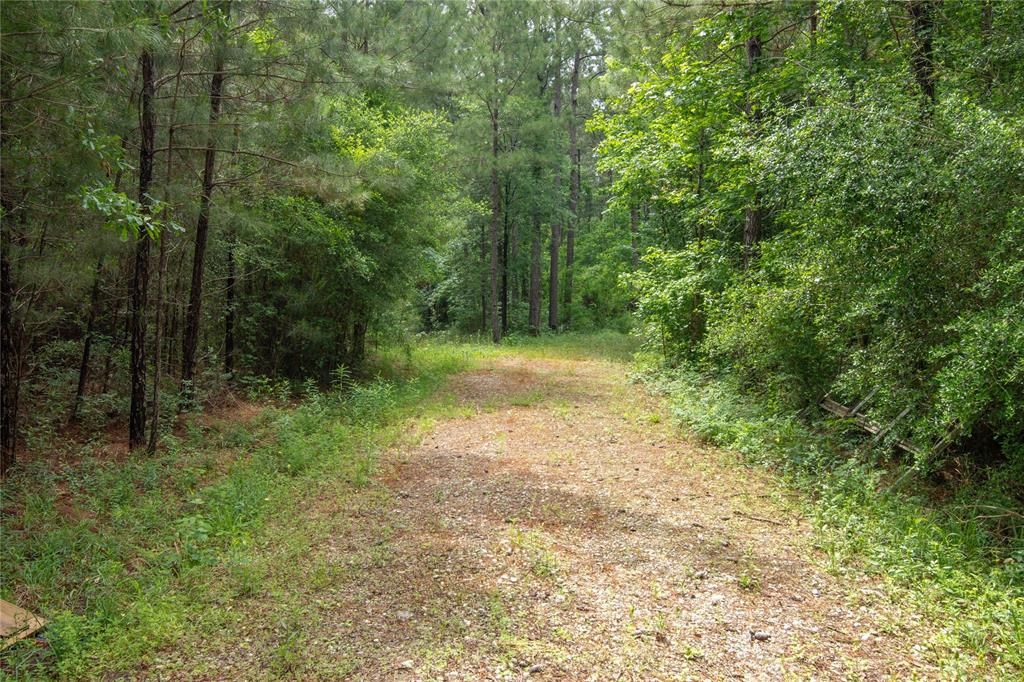 204 County Road 2145, Cleveland, Texas image 3