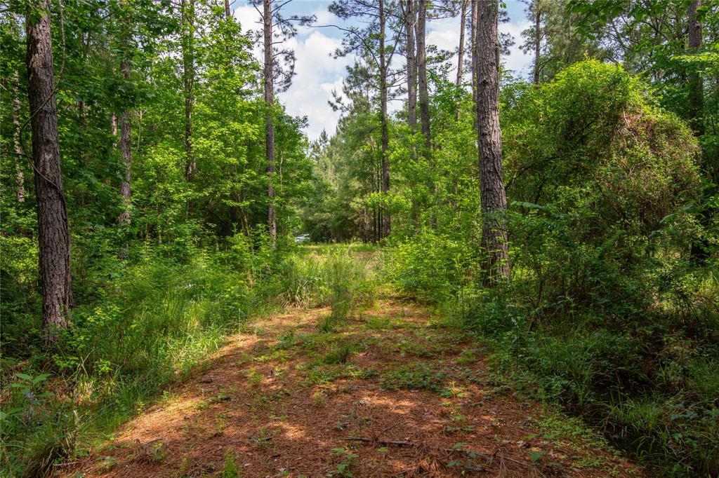 204 County Road 2145, Cleveland, Texas image 9