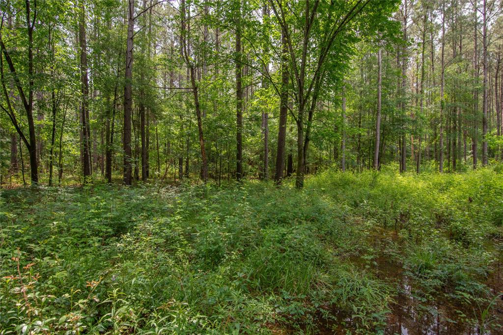 204 County Road 2145, Cleveland, Texas image 6