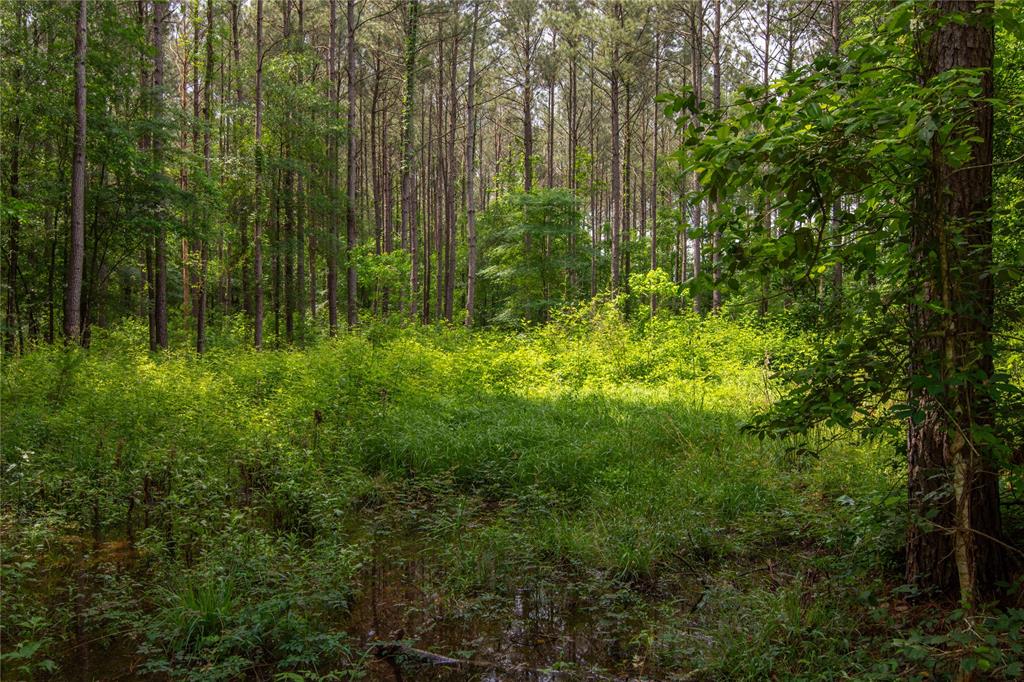 204 County Road 2145, Cleveland, Texas image 8