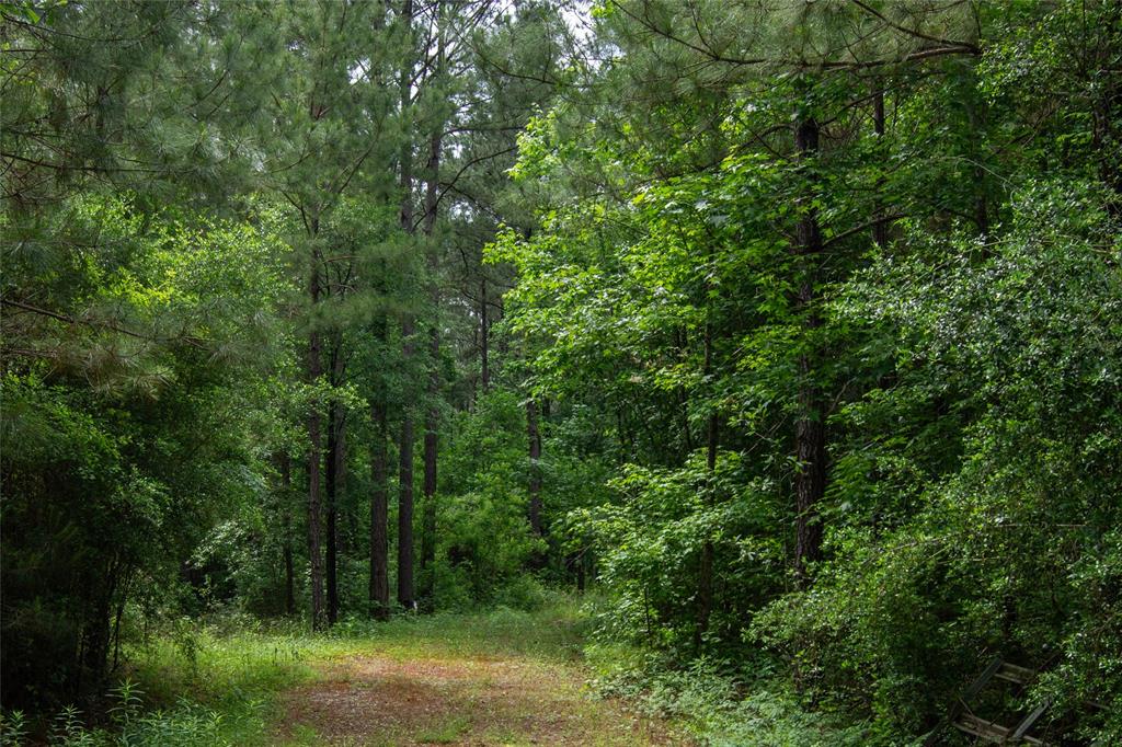 204 County Road 2145, Cleveland, Texas image 4