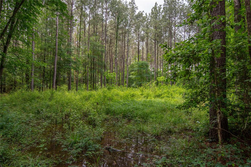 204 County Road 2145, Cleveland, Texas image 7
