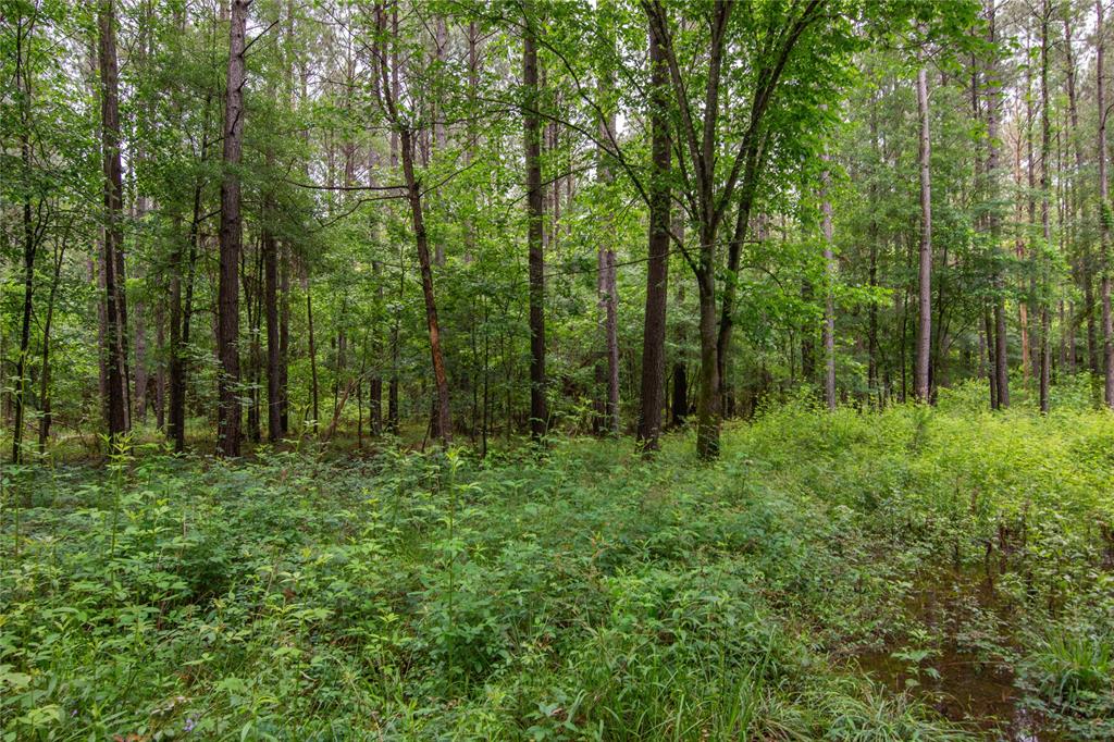 204 County Road 2145, Cleveland, Texas image 5