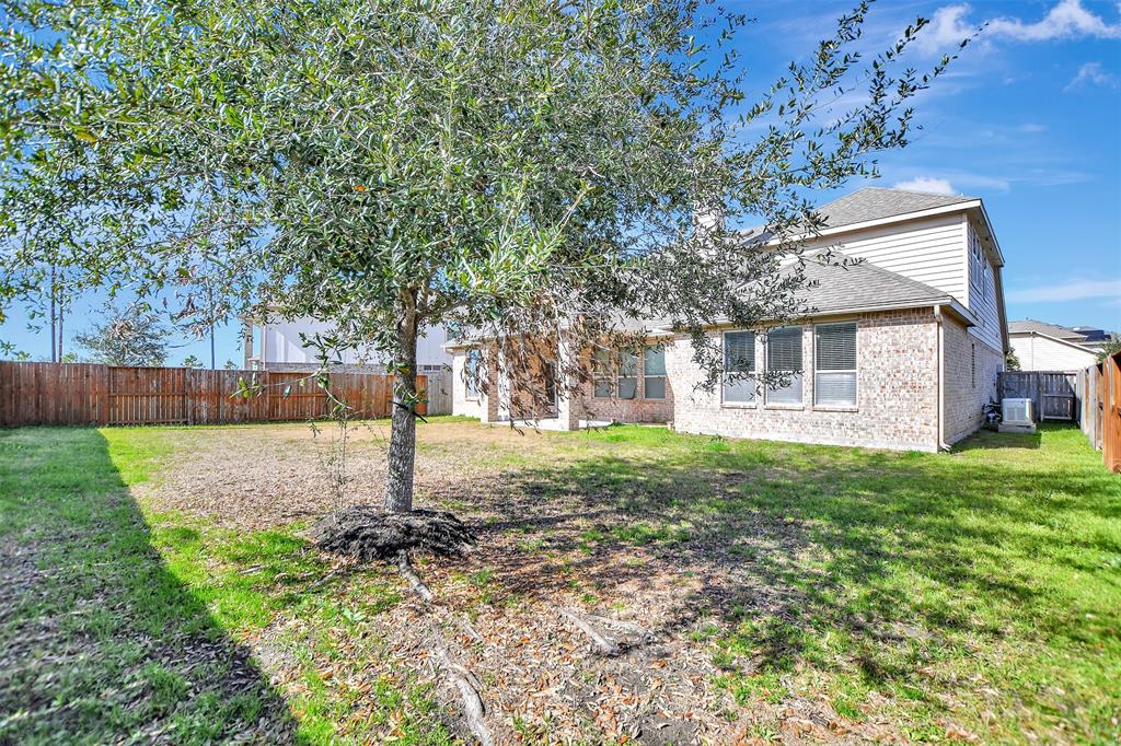 3406 Cassini Drive, Iowa Colony, Texas image 49