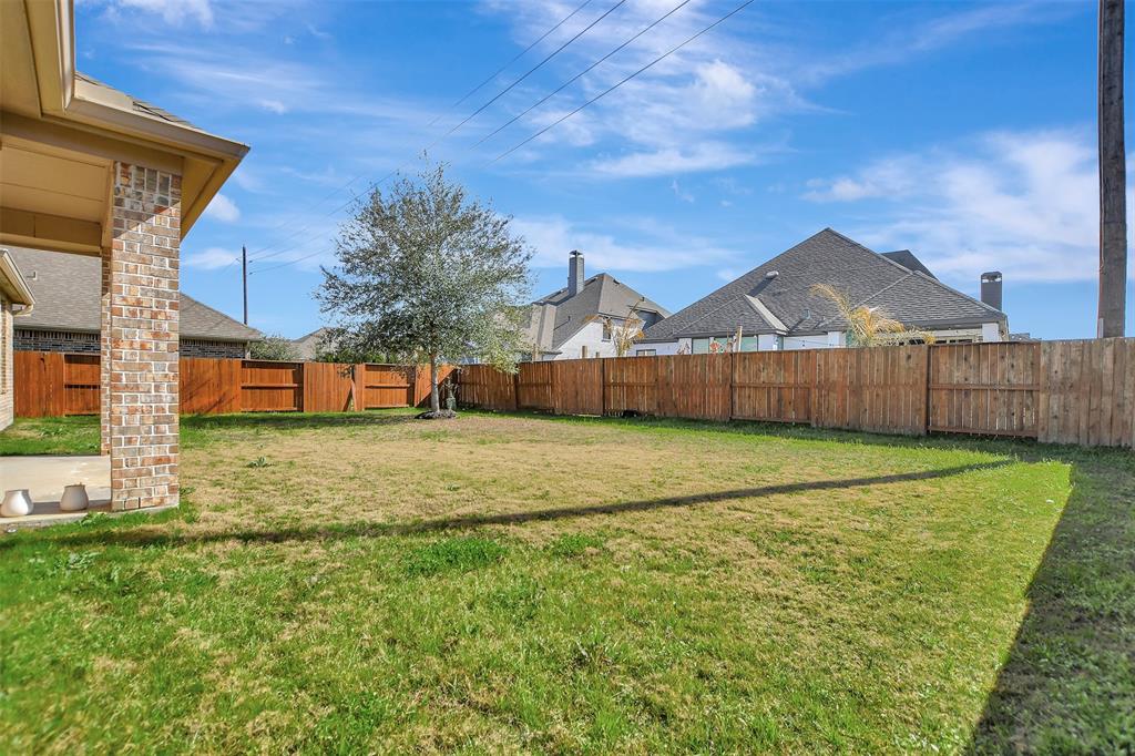 3406 Cassini Drive, Iowa Colony, Texas image 46