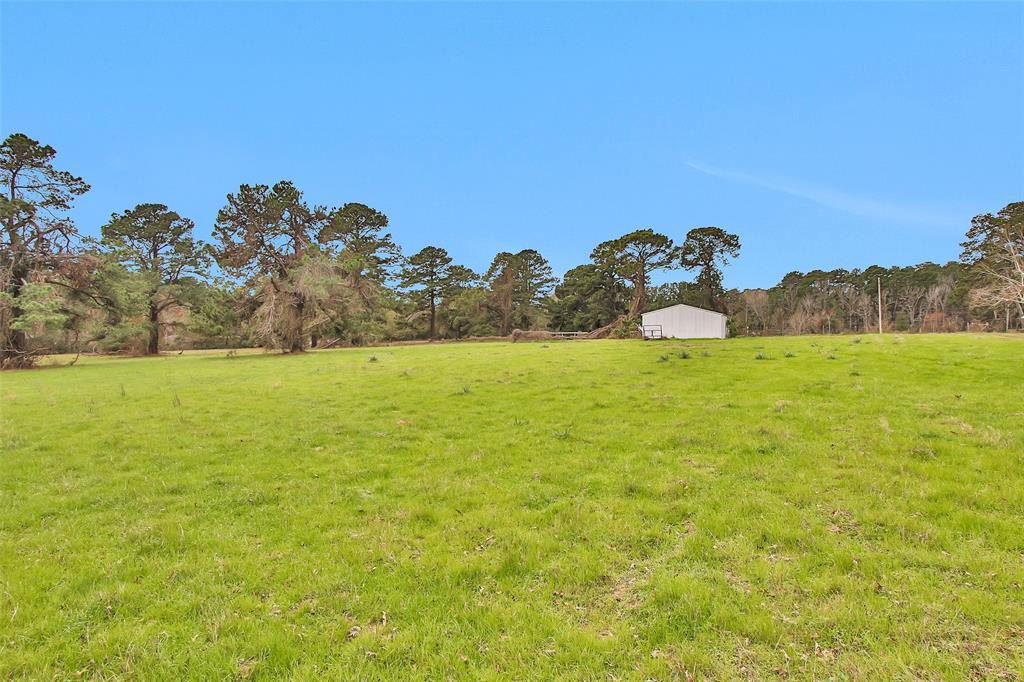Lot 3 Paradise Point, Willis, Texas image 7