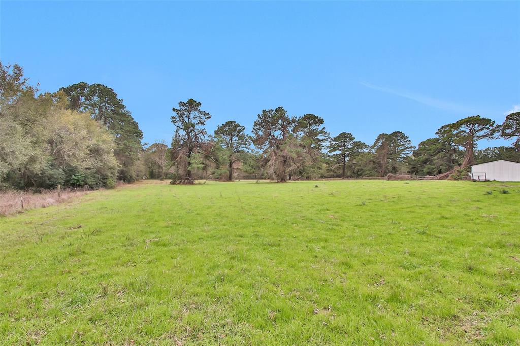 Lot 3 Paradise Point, Willis, Texas image 6