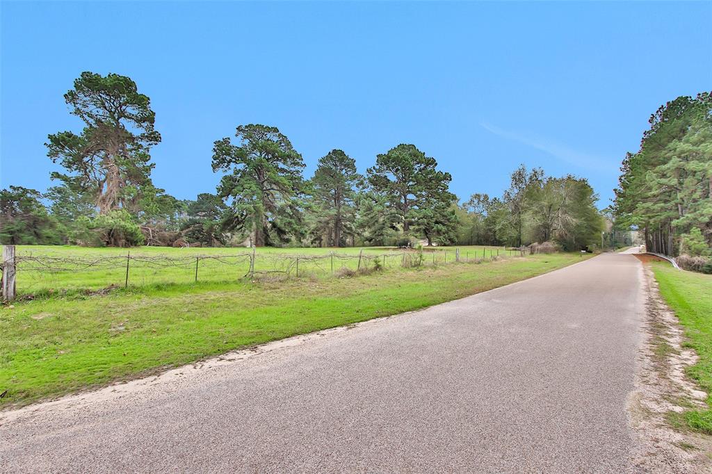 Lot 3 Paradise Point, Willis, Texas image 5