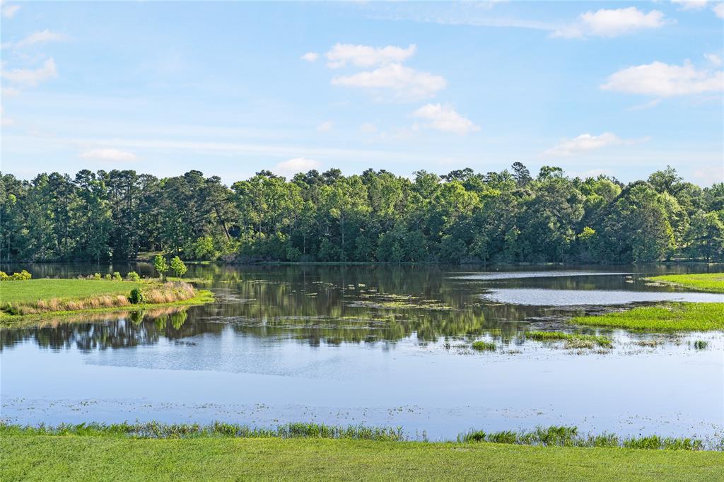 1327 Wicklow Forest Street, Magnolia, Texas image 34