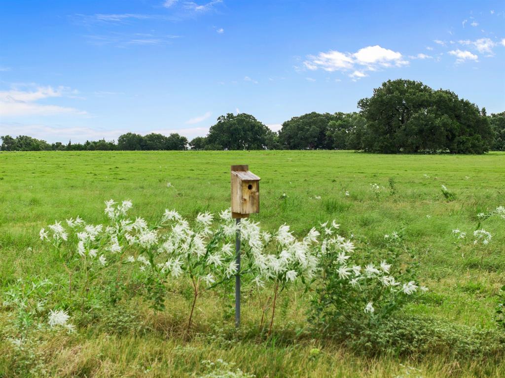 TBD Hartfield Tract 8 Road, Round Top, Texas image 9