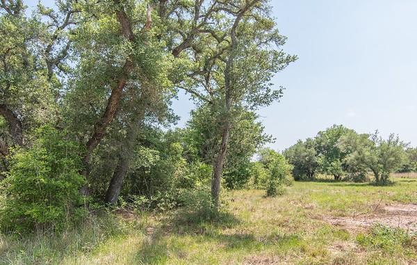 TBD Fm 822, Edna, Texas image 4