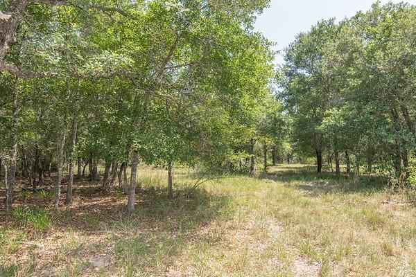 TBD Fm 822, Edna, Texas image 10