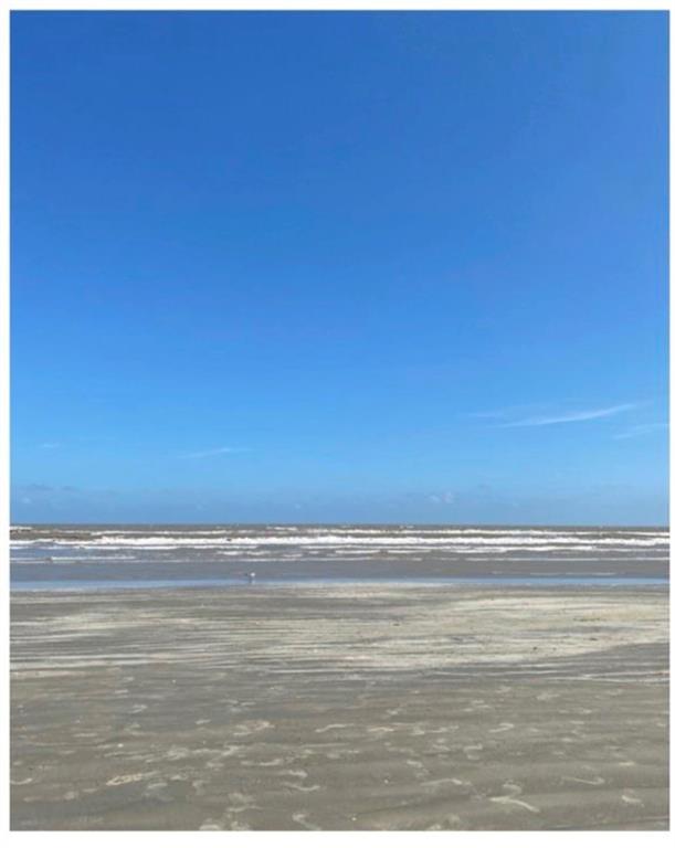 Lot 48 Treasure Court, Galveston, Texas image 6
