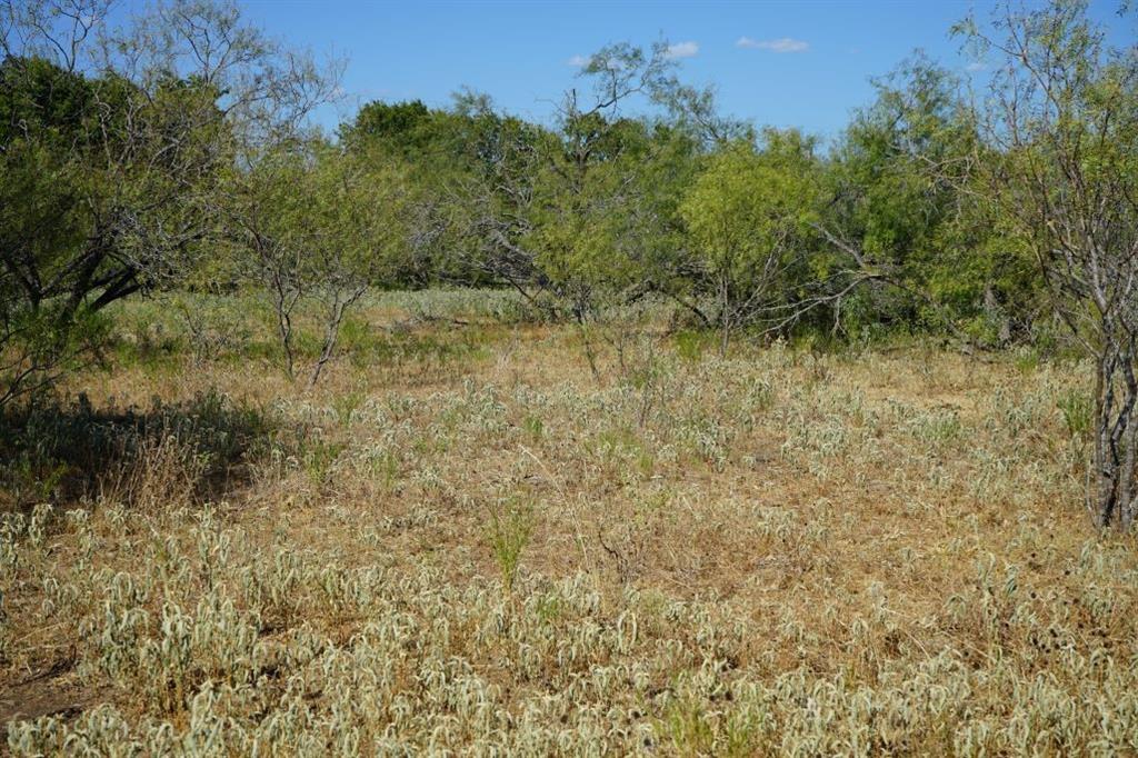 TBD 1 Cr 236a, Milano, Texas image 3