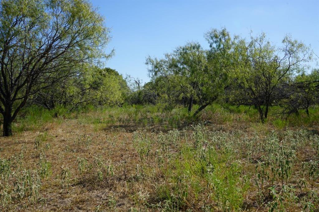 TBD 1 Cr 236a, Milano, Texas image 7