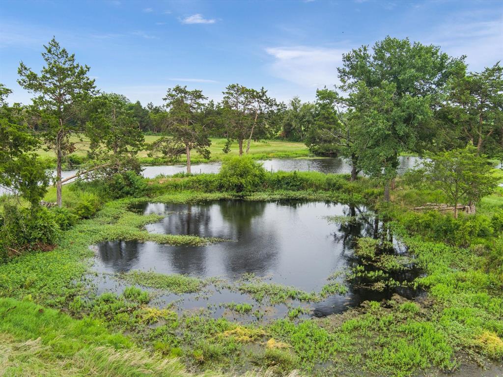 667 Lcr 439, Mexia, Texas image 14