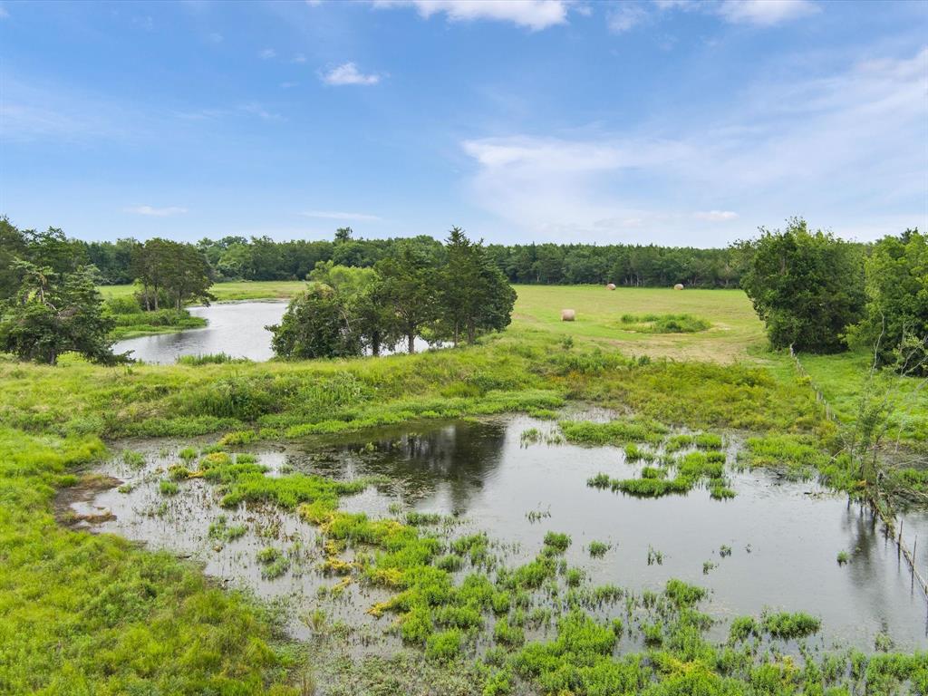 667 Lcr 439, Mexia, Texas image 17