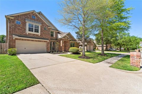 Single Family Residence in Houston TX 14219 Sandhill Crane Drive.jpg