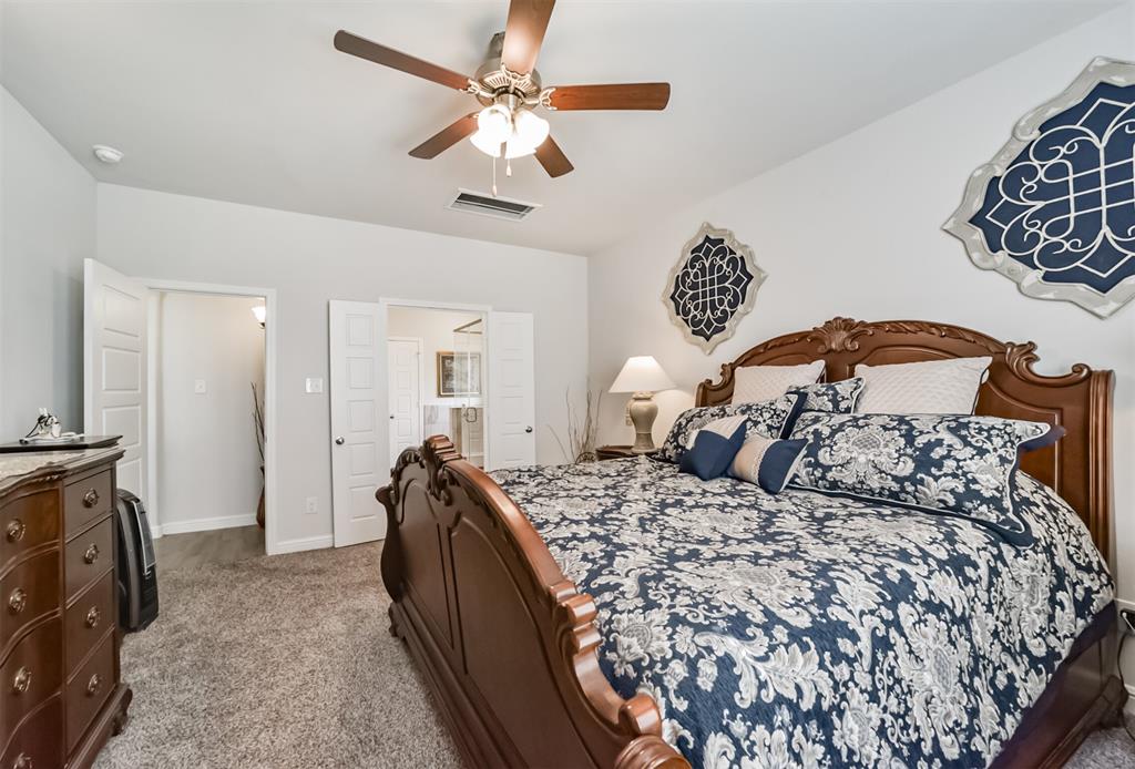 356 Selah Court, Alvin, Texas image 24