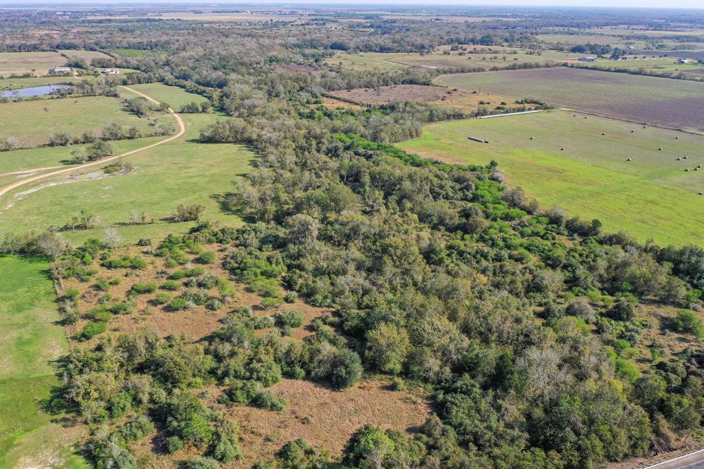 Tx-60, East Bernard, Texas image 14