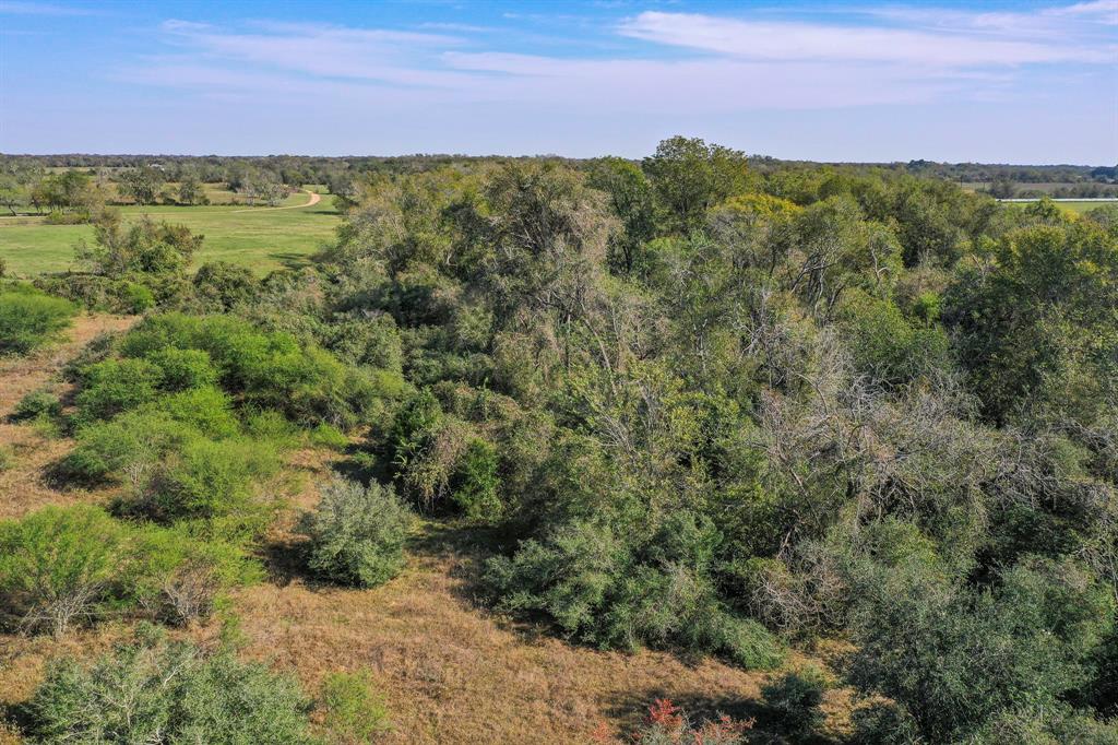 Tx-60, East Bernard, Texas image 6