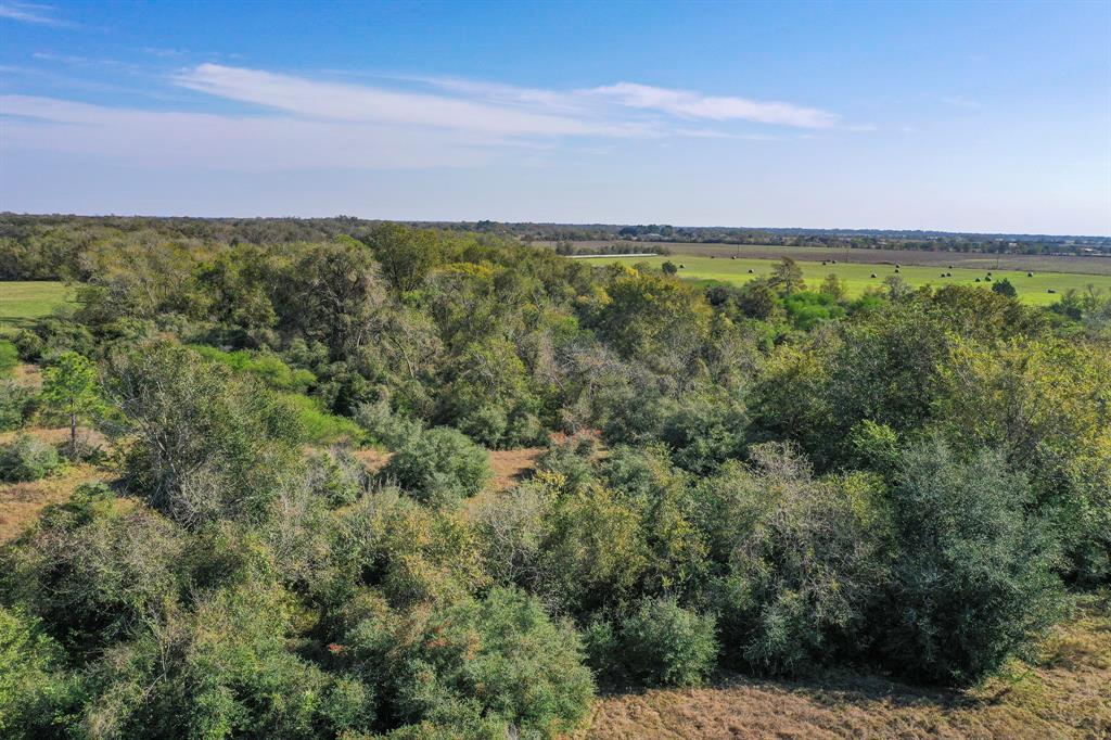 Tx-60, East Bernard, Texas image 4