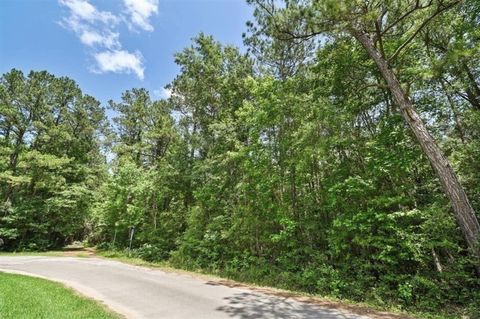 Photo of 10 Street, Shepherd, TX 77371 (MLS # 87686716)