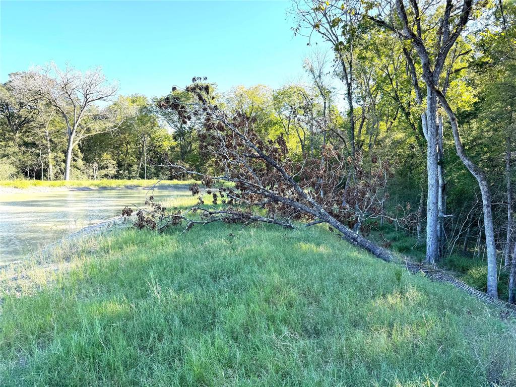 3801 County Road 447, Anderson, Texas image 6