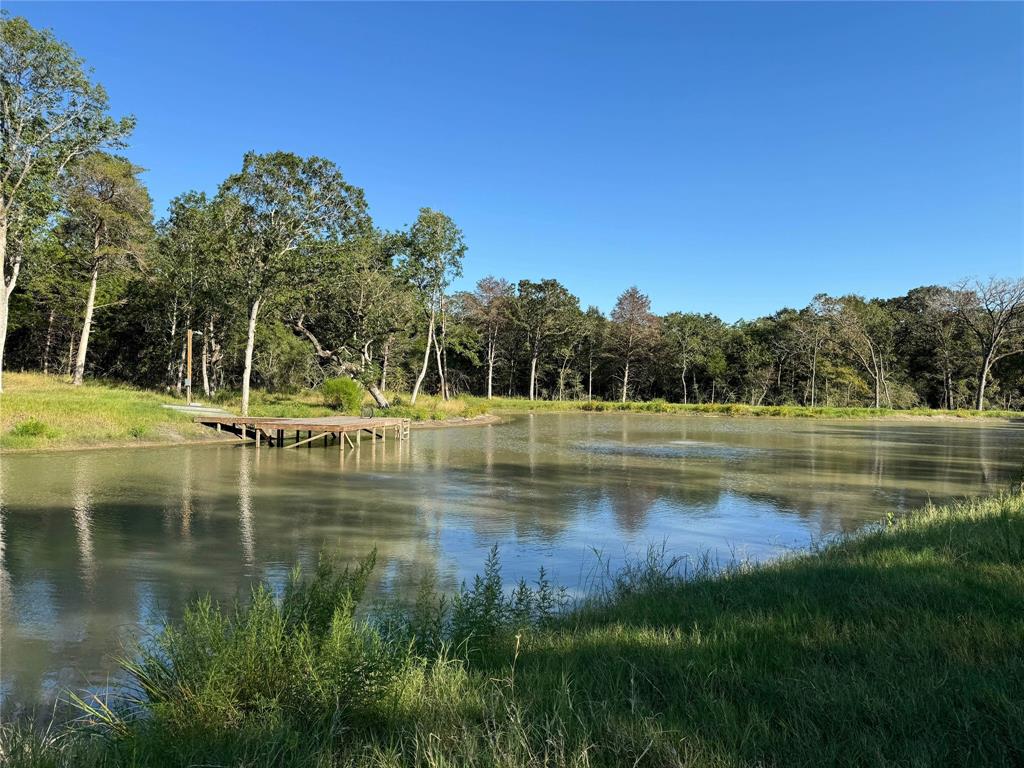 3801 County Road 447, Anderson, Texas image 5