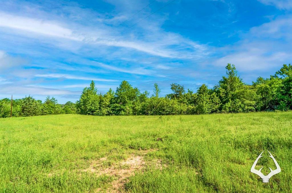 TBD County Road 4849, Timpson, Texas image 15