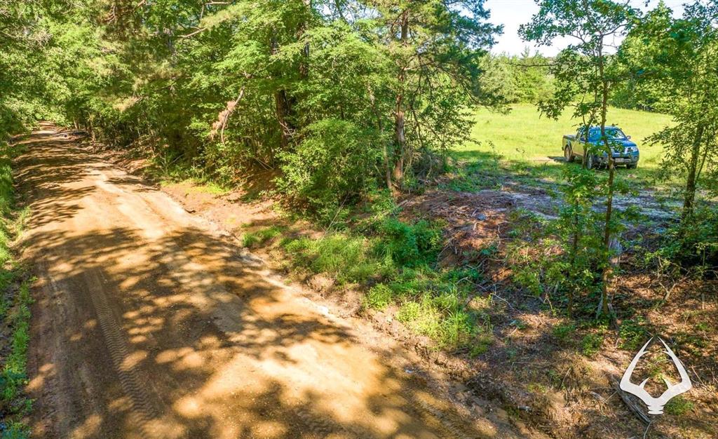 TBD County Road 4849, Timpson, Texas image 6