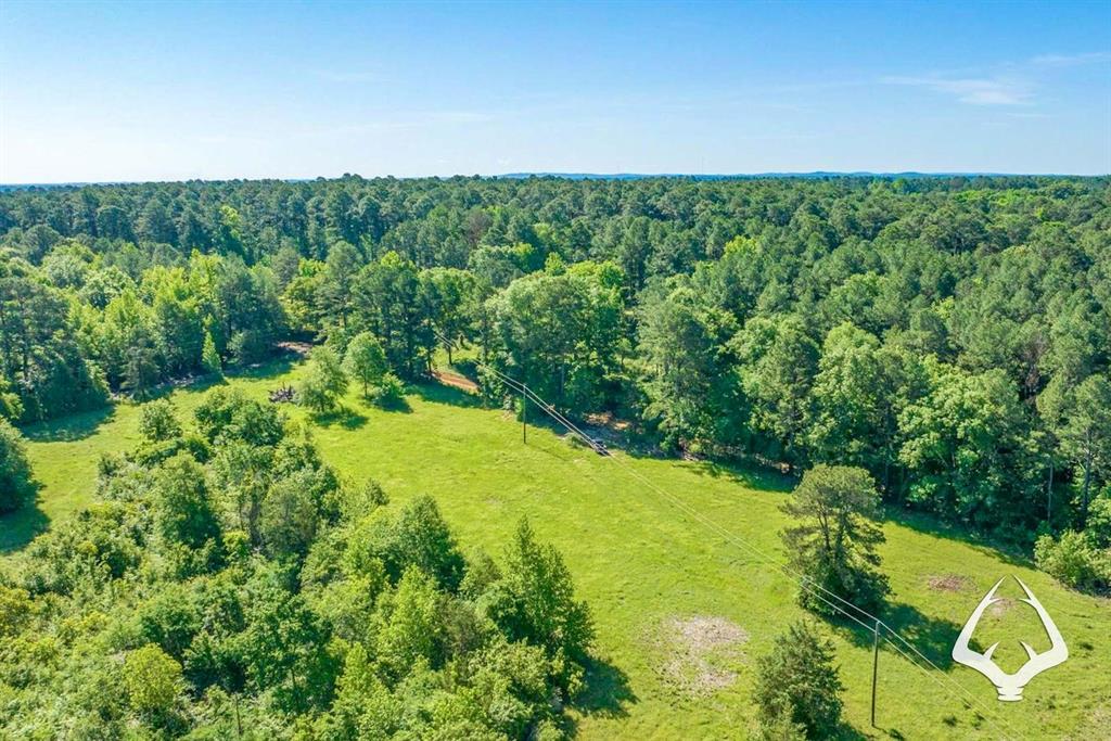 TBD County Road 4849, Timpson, Texas image 1