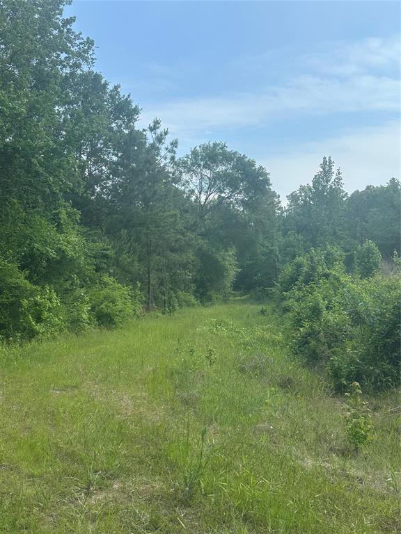 23809 Fm 2262-, Apple Springs, Texas image 4