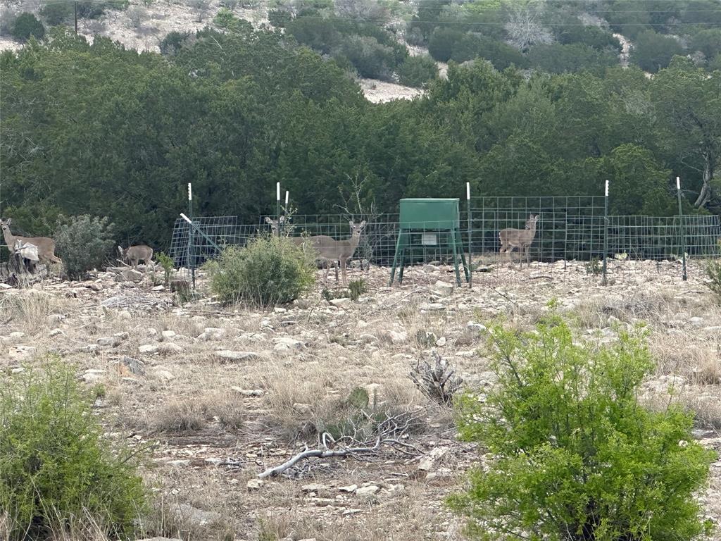 Sd 45500, Rocksprings, Texas image 11