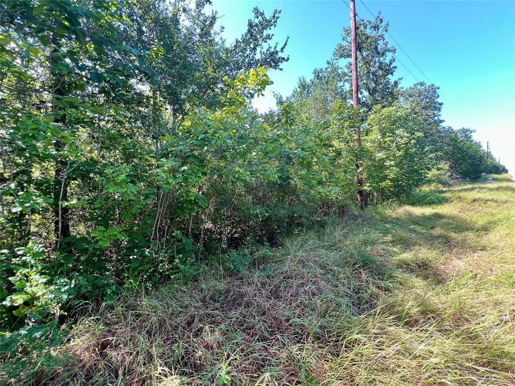 990 Big Berry Road