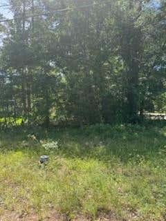Vacant Land For Sale - 15829 Cottonwood Drive<br/> Montgomery, TX 77356
