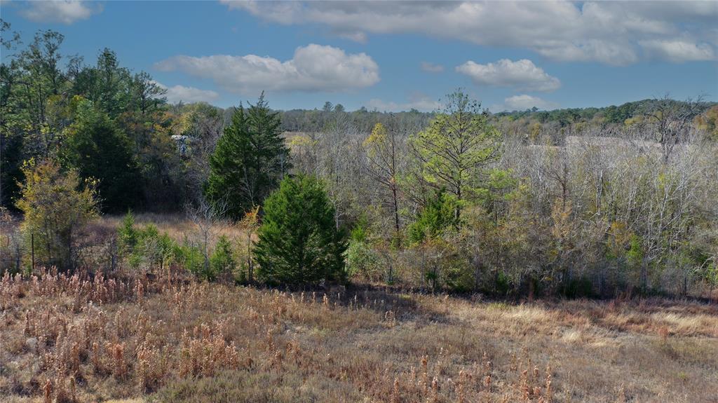 TBD Fm 2819, Anderson, Texas image 18