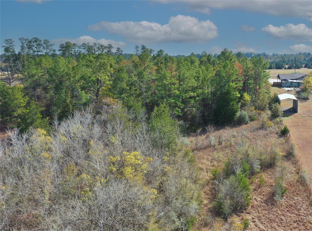 TBD Fm 2819, Anderson, Texas image 12