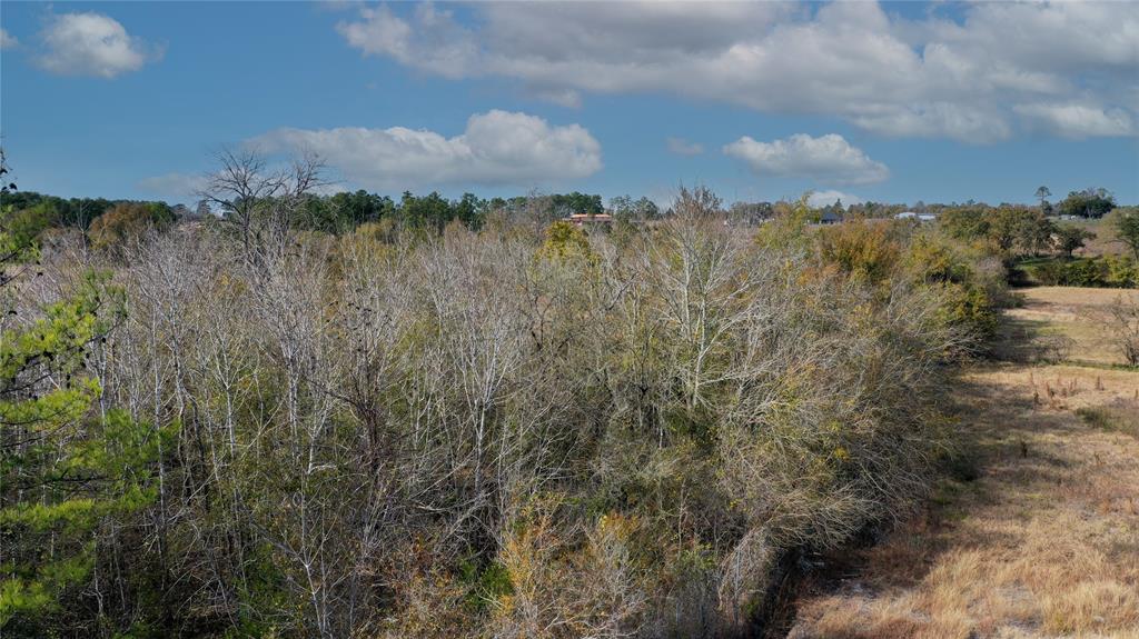 TBD Fm 2819, Anderson, Texas image 6